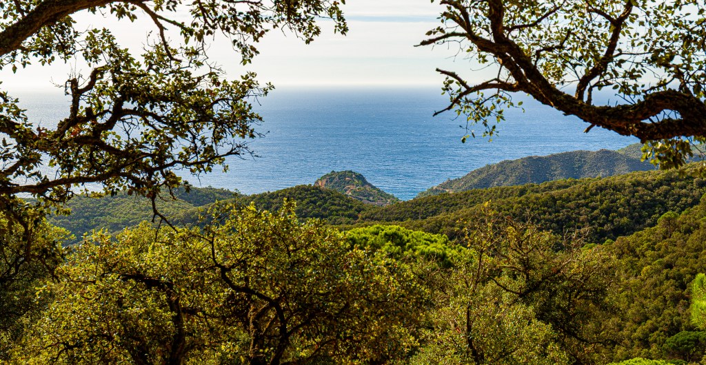 Costa Brava Catalunya Espagne