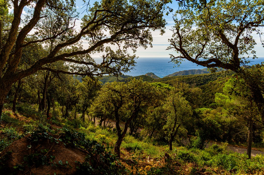 Costa Brava Catalunya Espagne