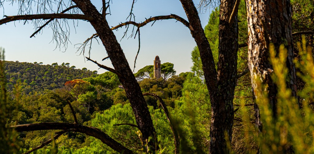 Parc del montnegre Catalunya Espagne